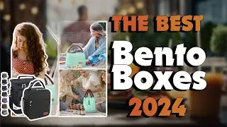 The Top 5 Best Lunch Boxes in 2024 - Must Watch Before Buying!