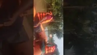Flood Rescue Operation In West Bengal, Paschim Medinipur, Ghatal Area With My Team. Please subscribe