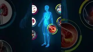 Lifegain Medicare Therapy Awareness for Healthy India Mission.