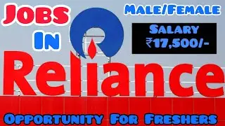 Packing Jobs in Jio Mart, Jobs in Mumbai, #shorts #viral