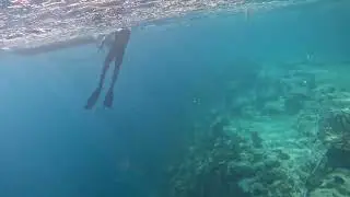 Drift Snorkel through Eleuthera's Current Cut!