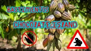 Isla Bastimentos #panama #island #chocolate