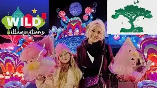 Видеоблог о праздничных огнях в зоопарке ✨🎄🦒🐅 @Justmychannnel #vlogs #zoo #christmas #holiday #fu...