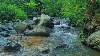 River Flow Under the Moonlight &ndash; Soothing Night Ambience for Deep Relaxation & Sleep