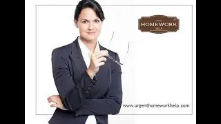 24 Hour Homework Help from the Best Homework Writing Service