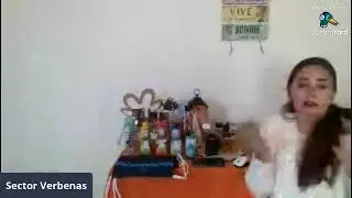 ciclo 10