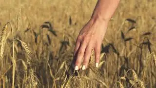 nailsvideo