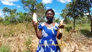 Climate Justice For All- How Climate Change looks like in Zambia