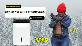 Why Do you need a dehumidifier| Best dehumidifier 2021