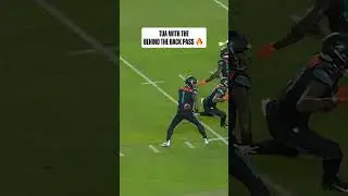 okay tua ‼️🐬