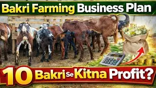 Bakri Farming Business Plan | 10 Bakri Profit Calculation | Earn from Goat Farming