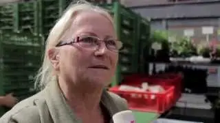 Wiener Dialekt: Brigitta vom Gem&uuml;sestand