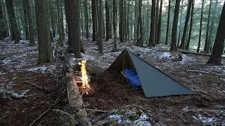 Solo Winter Tarp Camp - First Snow, Spit Roasting Wild Venison Backstrap, High Winds