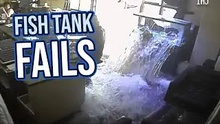 Fish Tank Fails 2018 | Funny Fail Compilation