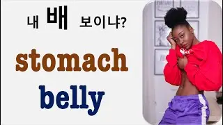 Q5 English 어휘 Lesson 2419 (배, 위, 복부 – belly vs stomach)