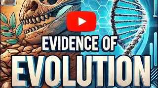 Evidence of Evolution