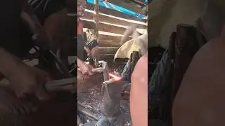BLACKSMITH  Short #youtubeshorts  #BLACKSMITHING #FORGING #forgework #knifemaking #forgingknife