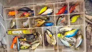 NO NFL SHOW - Hella Bass Fishing Deals (JDM, $2  Starts, Rare Baits more)