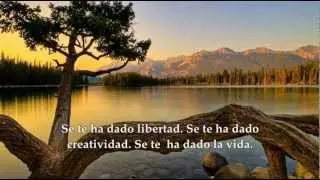 El significado de la Vida ~ Osho