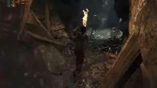 Tomb Raider 2013 4k Max Settings 5060TI