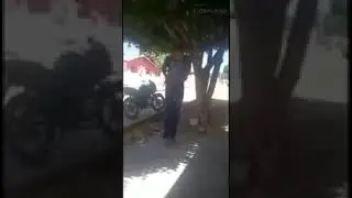 Perro de mal humor