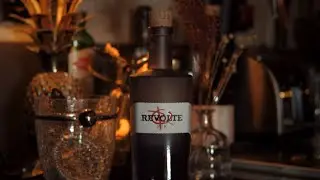 REVOLTE RUM - Master Distiller Felix Kaltenthaler