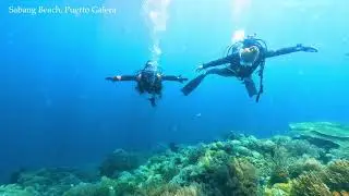 [Scuba Diving / Underwater] Sabang Beach, Puerto Galera, Philippines, June 2023 [4K]
