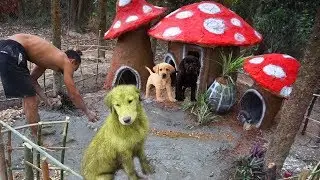 Rescue Abandoned Puppies Building Mud House Dog - part 2