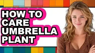 How to Care for an Umbrella Plant (The Only Way)