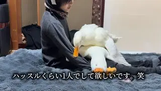 アヒルとハッスル　2026.1.9(金)