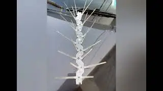 SpikeZone - Bird Spikes