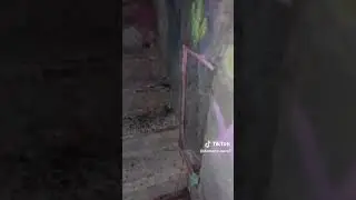 Manicomio di Mombello