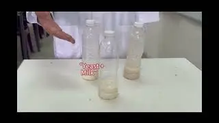 BIOCHARM WHISLAB 2026
