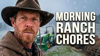 Morning Chores as a Rancher | Feeding the Pigs
