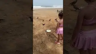 Crow Call #howto #short #birds #nature #tips #travel #water #beach #girl #food #story #cute #fun #yt