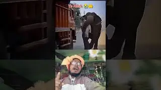 Tum chaho To Har chij ki tasir Badal do #trend #yt #viral #shorts