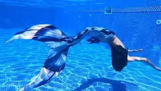 Mermaid tail blue fabric from aliexpress TEST SWIM