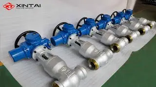 Pressure Seal Gate Valve & Pressure Seal Check Valve
