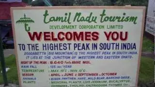 India - Summer Internship