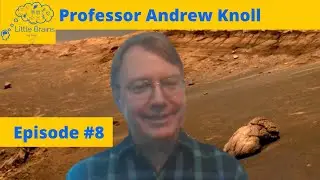 Origin Of Life, Extraterrestrial Life, Evolution | An Interview With Professor Andrew Knoll - #8