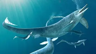 Ancient Sea Creature Unveiled