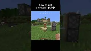 THE BEST MINECRAFT PET😭#minecraft #memes