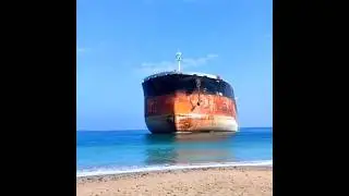 Top Ship Horn Compilation ❗❗❗