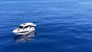 Dolphins, Whales & a Drone Disaster: Our Epic Nelson Bay Adventure!