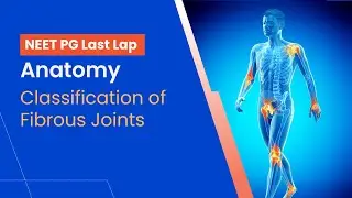 Anatomy - Classification of Fibrous Joints