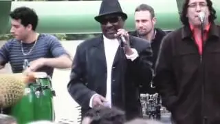 The best Salsa band in San Francisco Bay Area