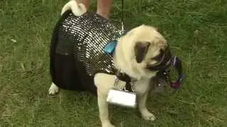 National Cherry Festival Kids Pet Show