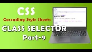How to use class selector in css
