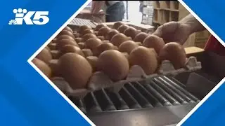 Wholesale eggs have dropped to $3 per dozen