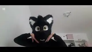 WHAT IS FURRY? let me explain #furry #furrycommunity #furries #fursuit